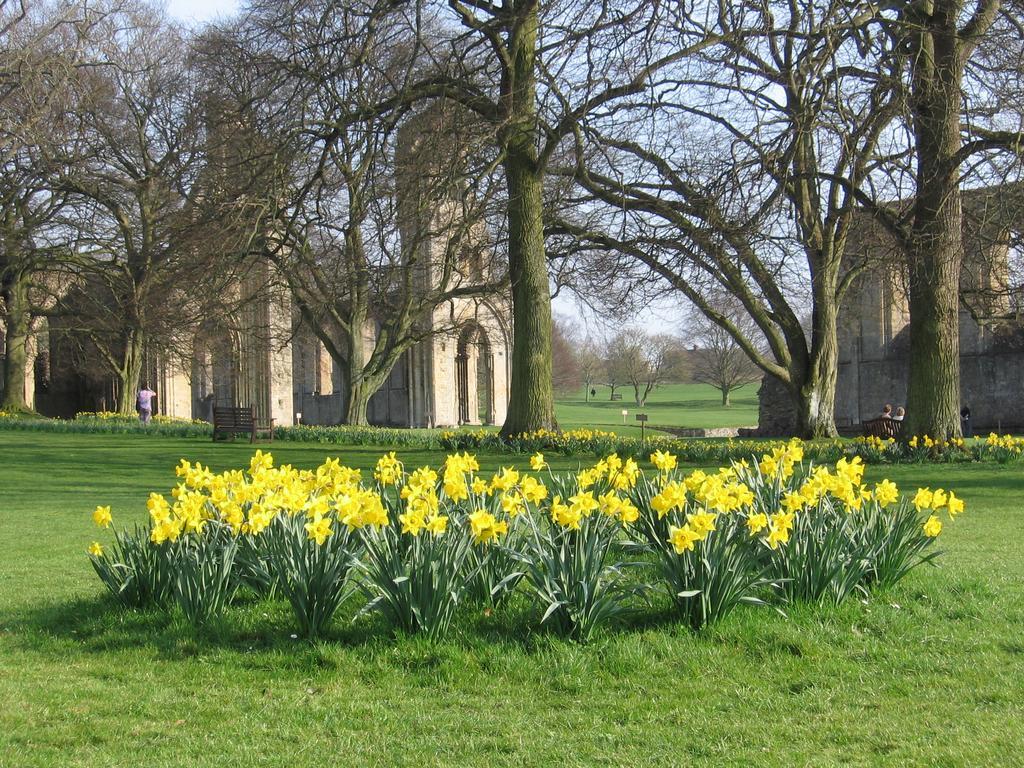 Chalice Lodge Glastonbury Bagian luar foto